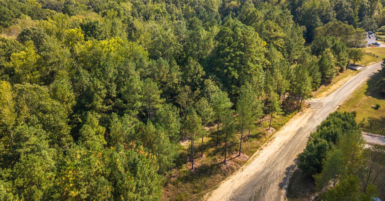 How To Tell If You Can Build On Undeveloped Land askBAMLand