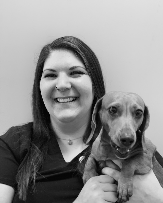 About Us Pet Dermatology Center NJ and NYC