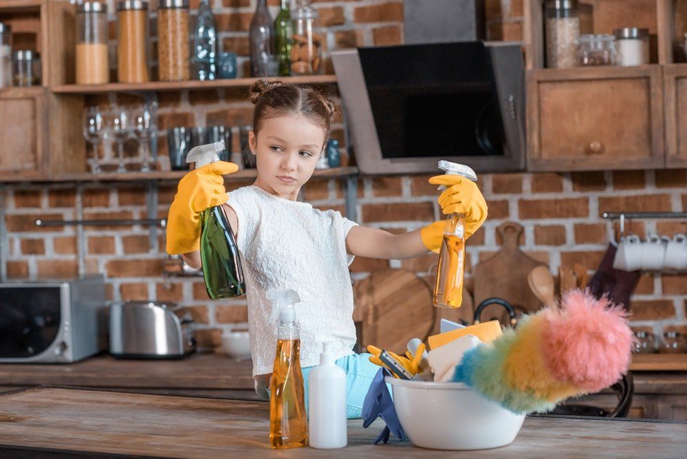 The Best House Cleaning Products for Your Family Euro Maids