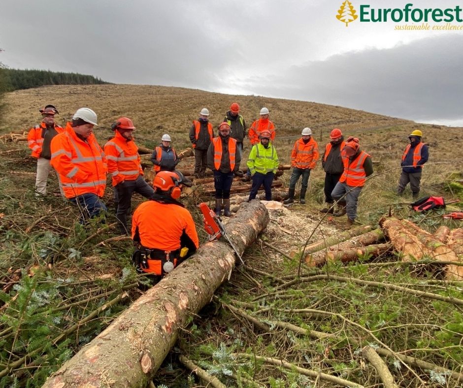 Safety in Forestry Compliance team lead Management of Chainsaw