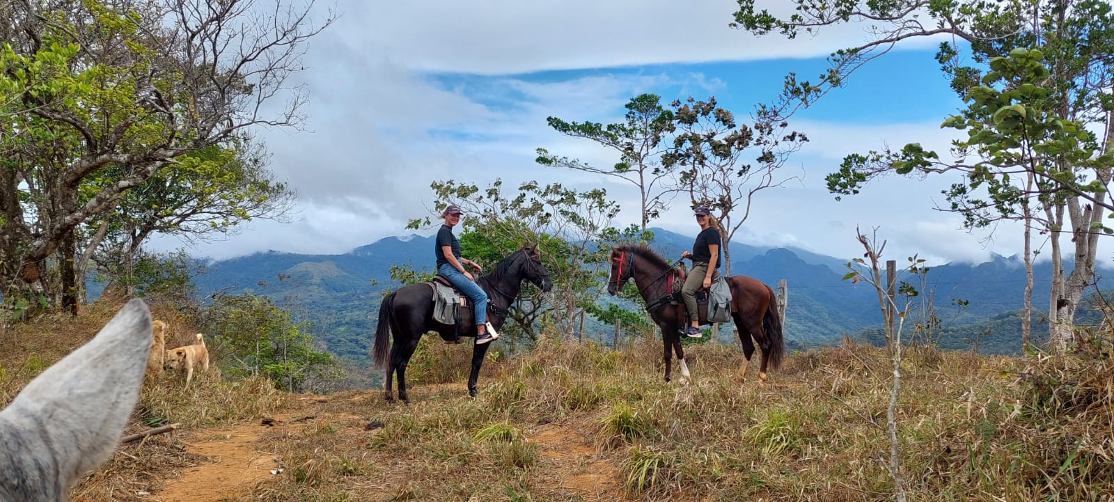 Horse riding in Panama Hooves Around the World