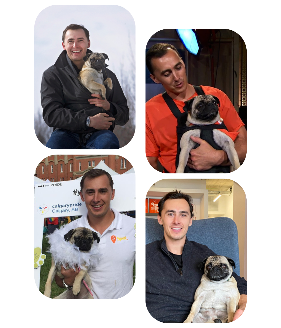 About the Company Spot Dog Walkers