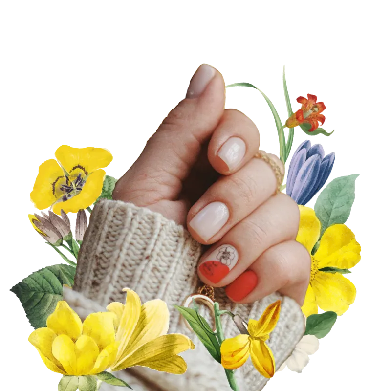 Collate Nails About Us