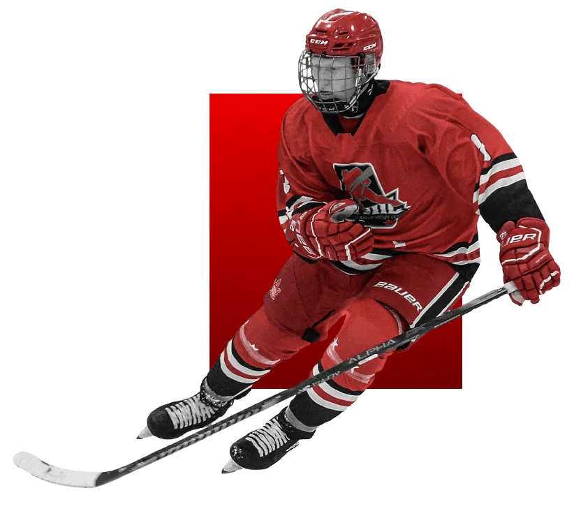 Relentless Youth Development Hockey Training Program