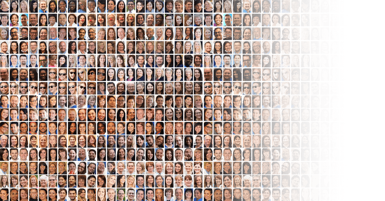 Pet Vet Hotline™ Talk To A Veterinarian Online In Seconds