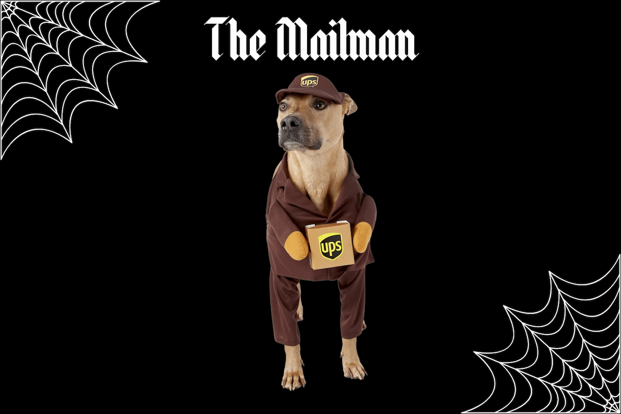 10 Pet Halloween Costume Ideas Fursure Blog