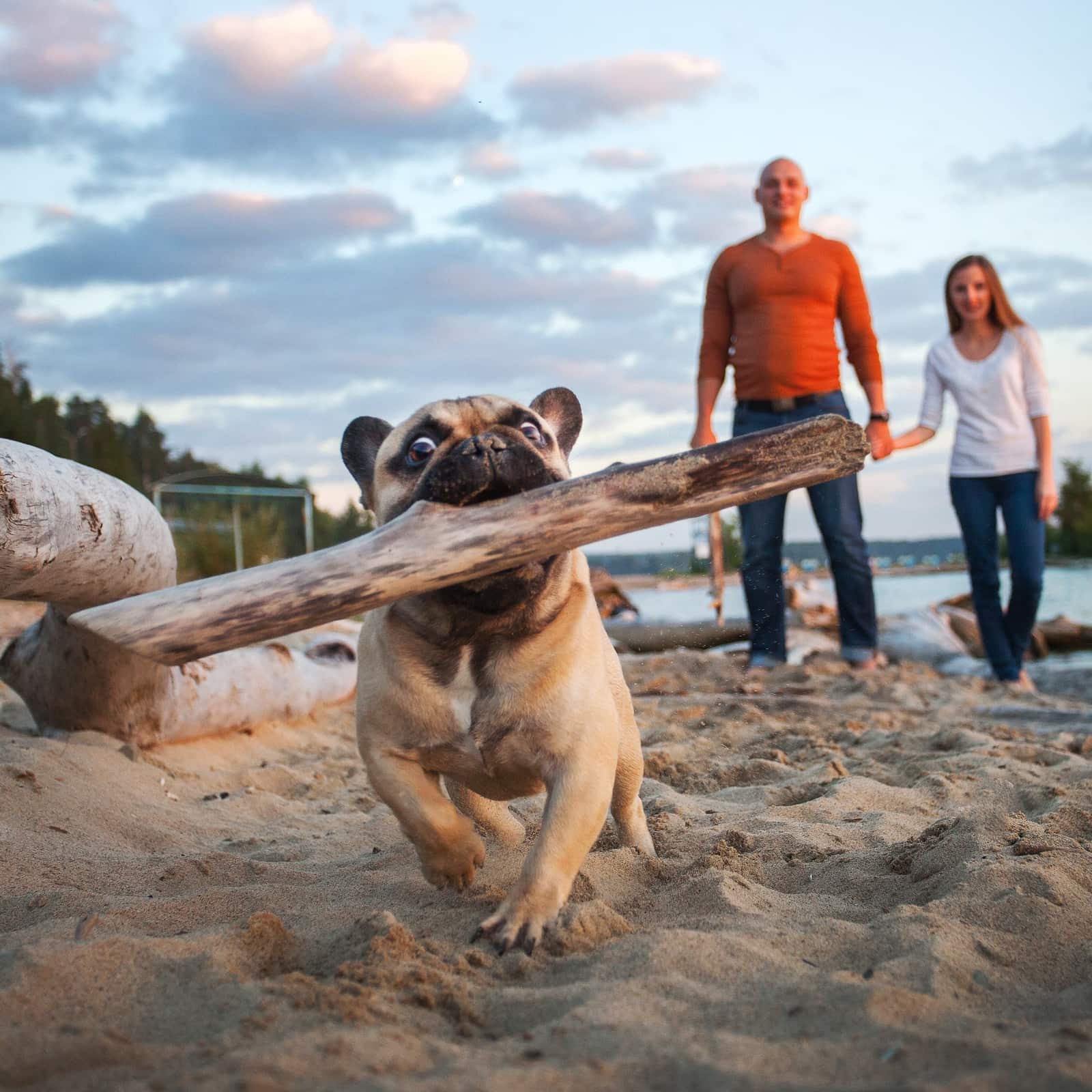 Richboro Veterinary Hospital Your Small Animal Vet in Richboro, PA