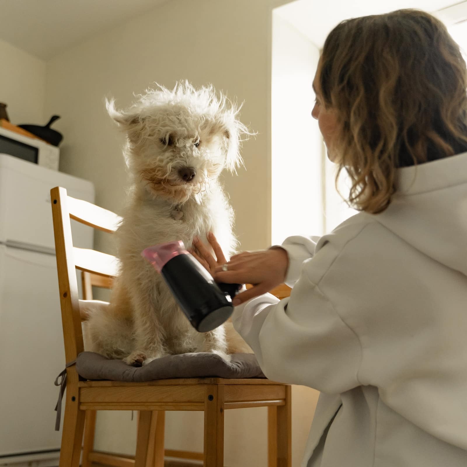 Richboro Veterinary Hospital Your Small Animal Vet in Richboro, PA