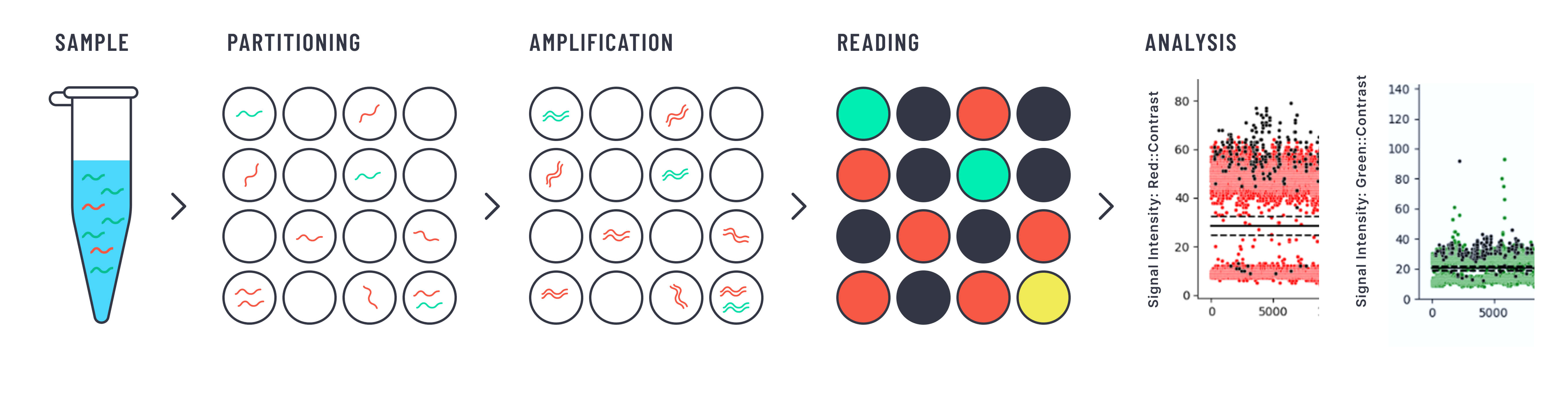 BLINK Digital PCR Analysis