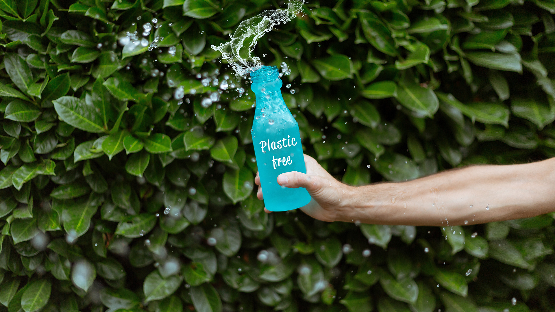 Ecofriendly Beverage Packaging