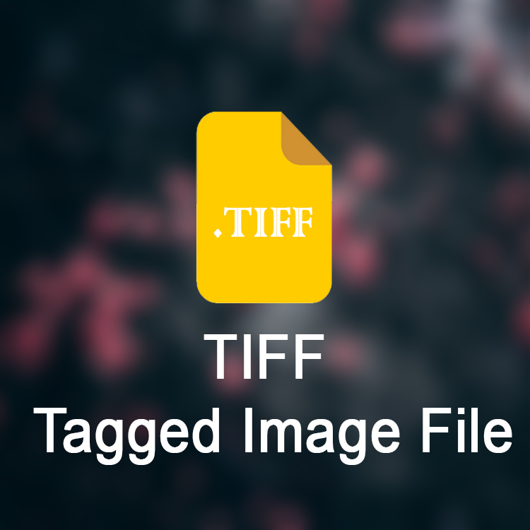 Glorify Image File Format Lists Know When to Use Which File Format