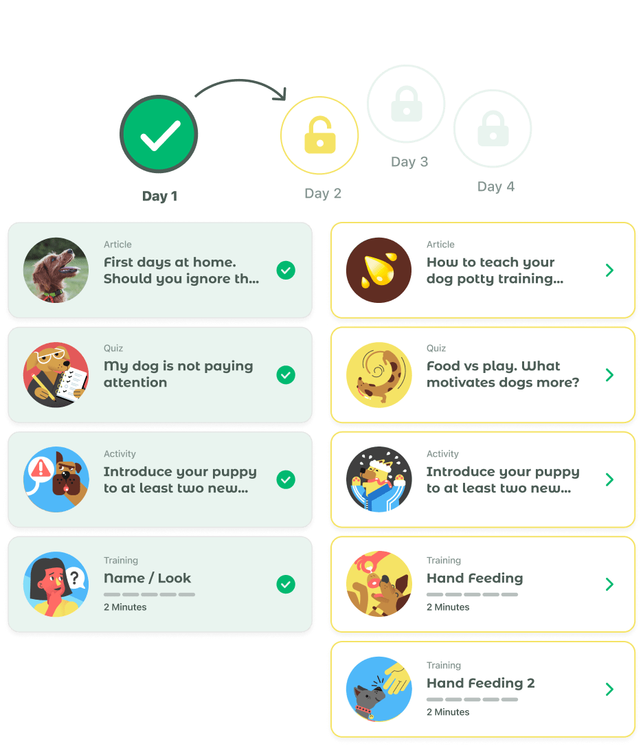 You Personal Dog Training Plan with Dogo