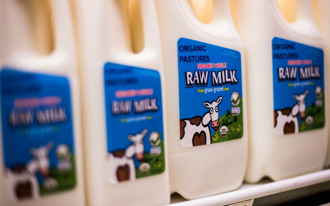 Using Raw Milk For Digestive and Immune Healing The Whole Journey