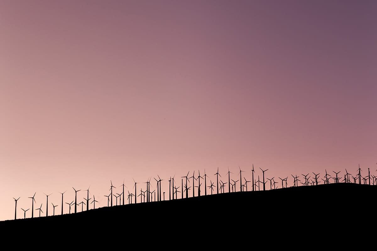 Social House Blog Beautycounter Live with Gregg Renfrew