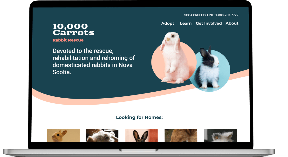 10,000 Carrots