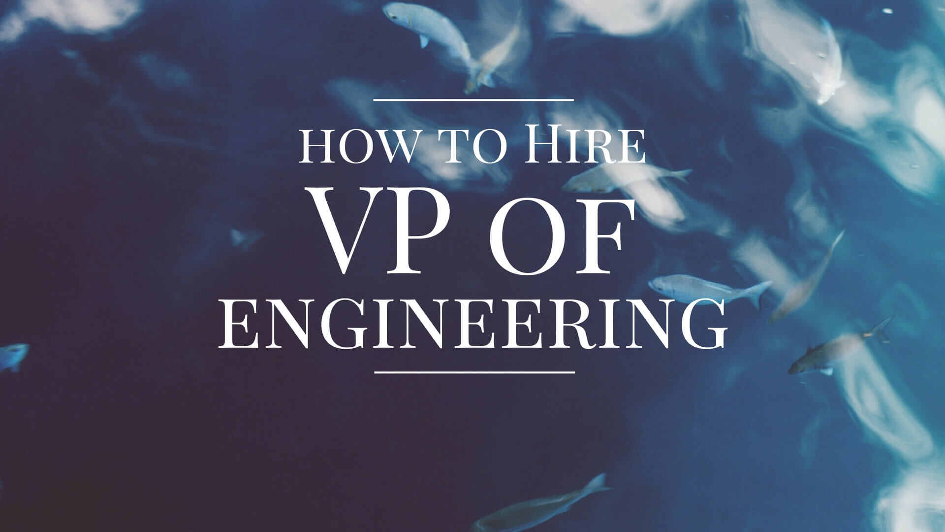 How To Hire a VP of Engineering ClikTechSoftware Blog