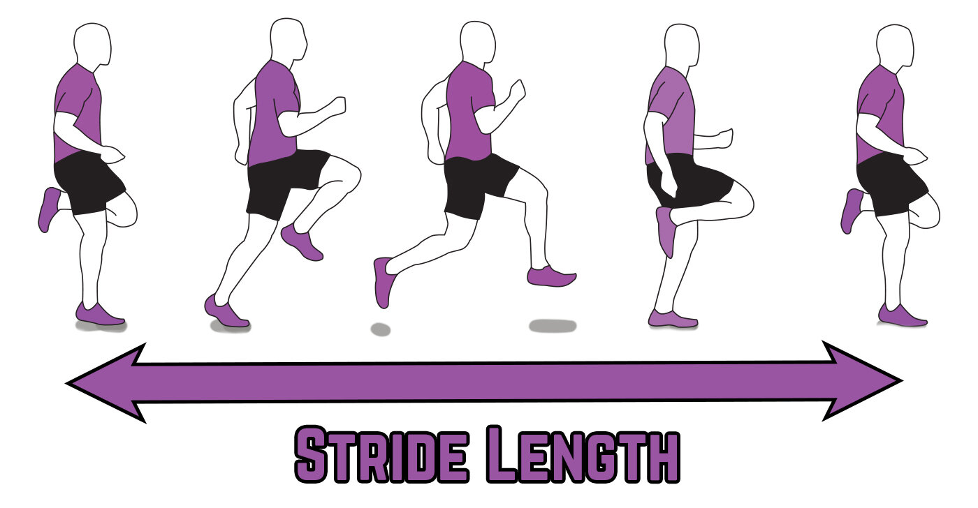 Mastering Sprint Speed Stride Length, Frequency & Force Development