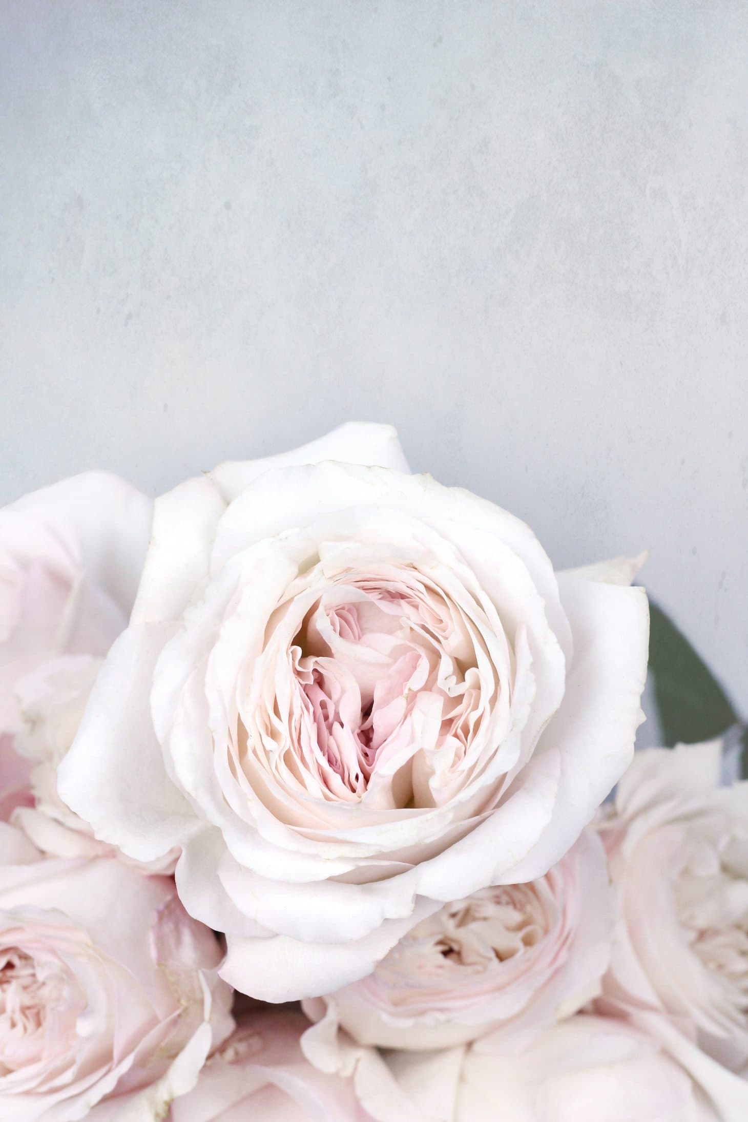 What do roses really smell of?