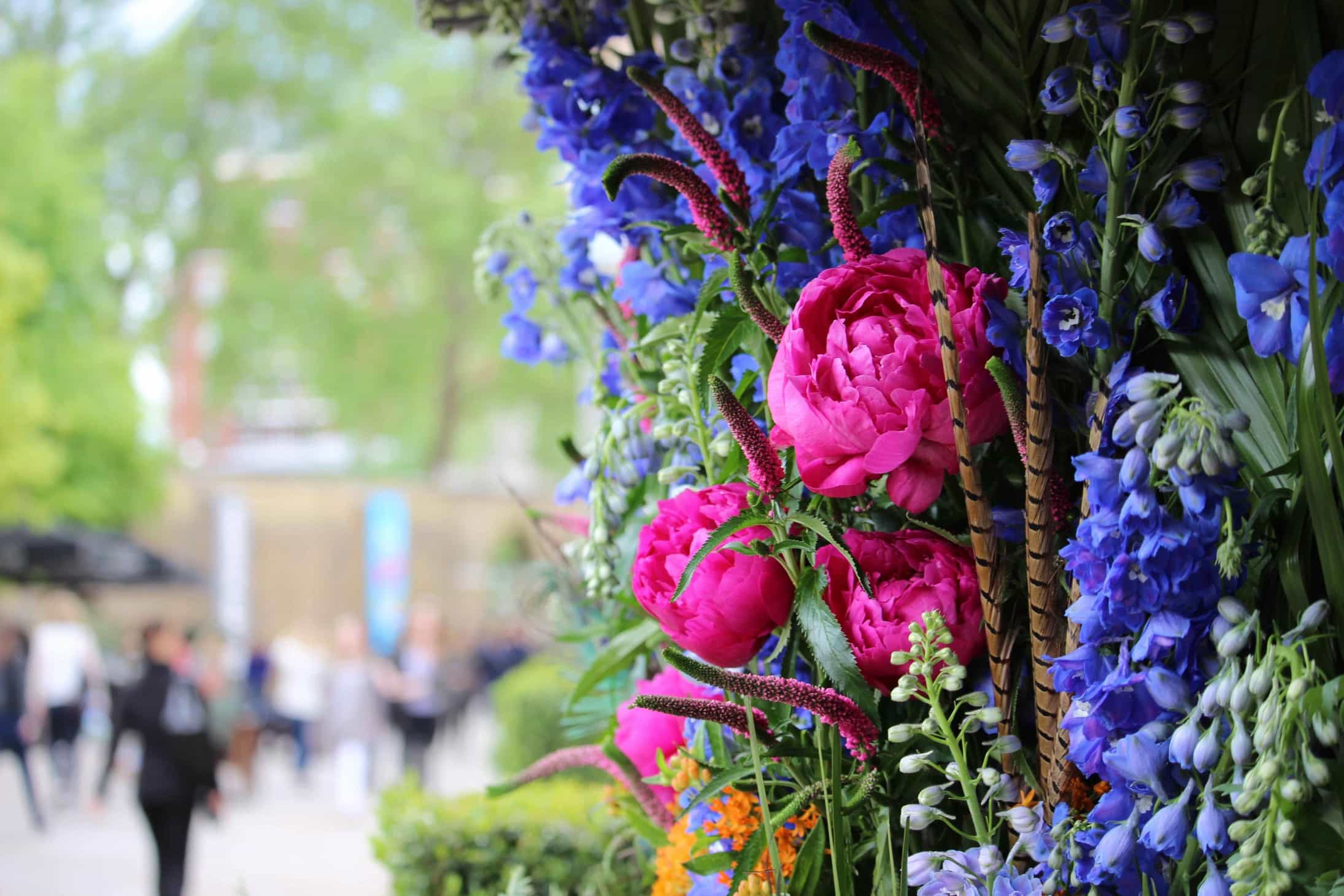 List of famous rose breeders