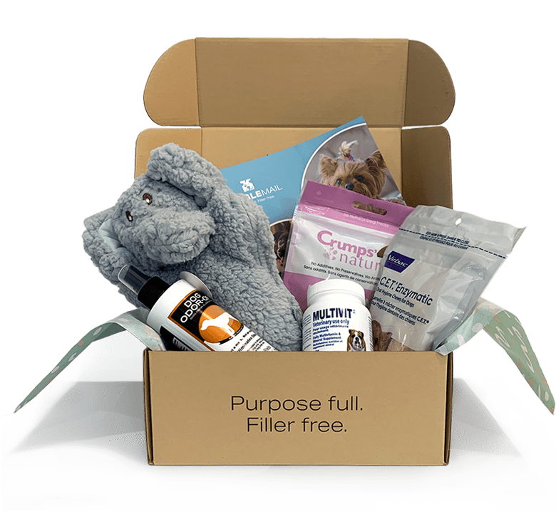 Waggle Mail Pricing Waggle Mail