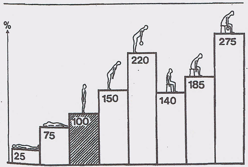 Biomechanics of the spine posture, forces and structures Core Advantage