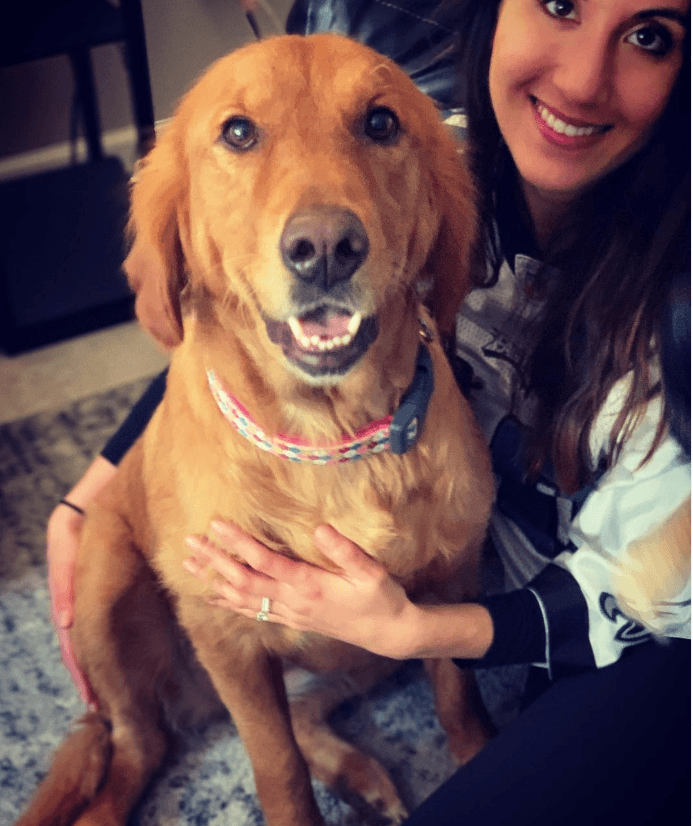 Scout 1 Dog Walking & Pet Sitting Software