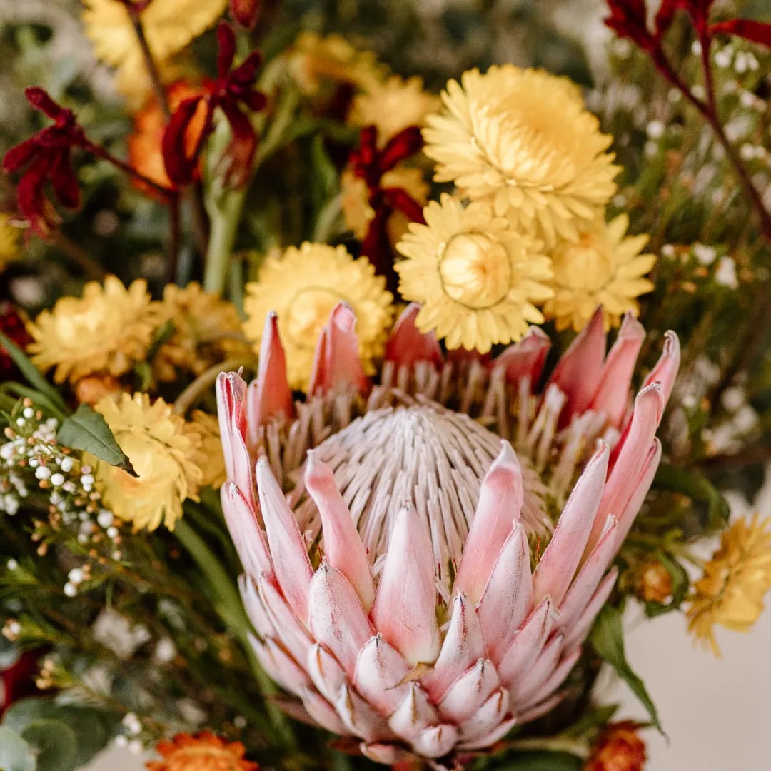 Flower Delivery Brisbane Florist Brisbane Fleurista