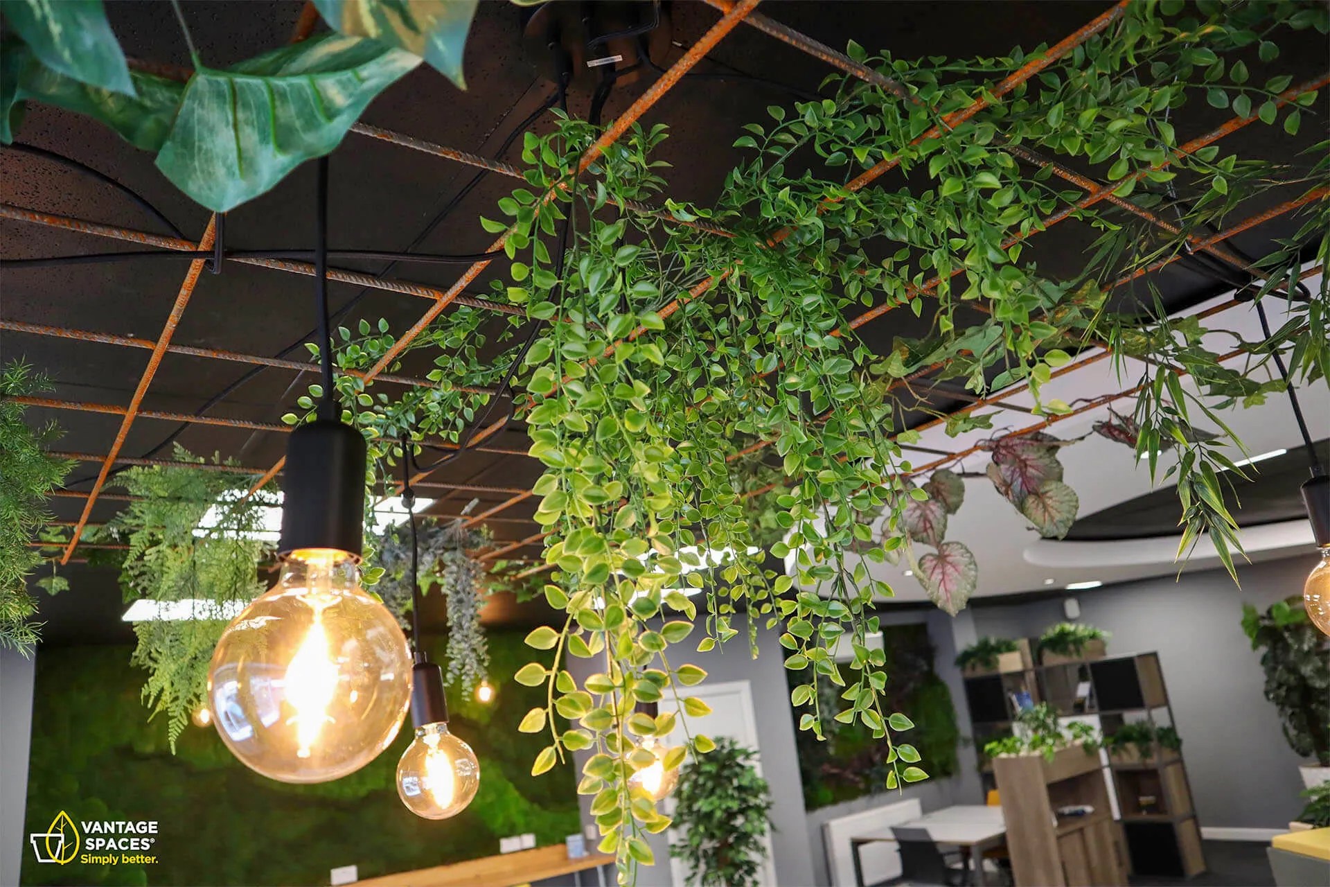 Plant Hanging & Moss Ceilings Vantage Spaces