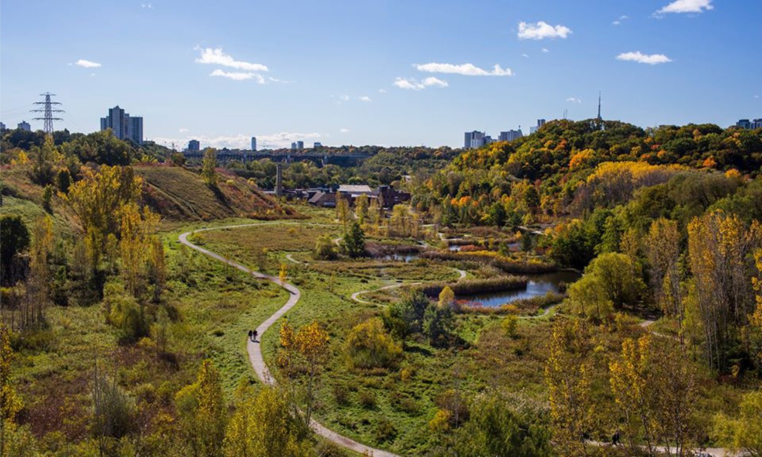 Hiking the Rosedale Ravine