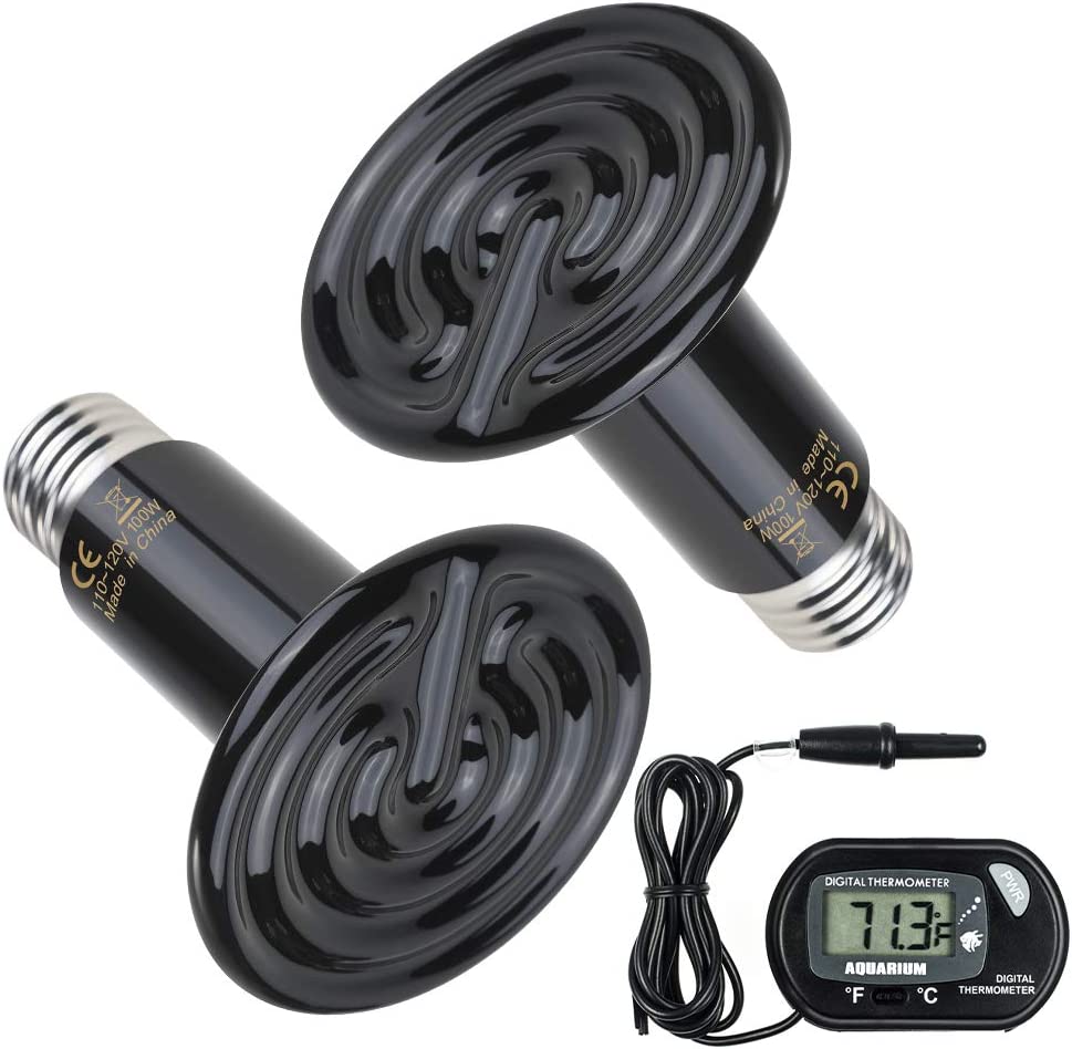 Best Heat Lamps for Dogs Little Pet Corner