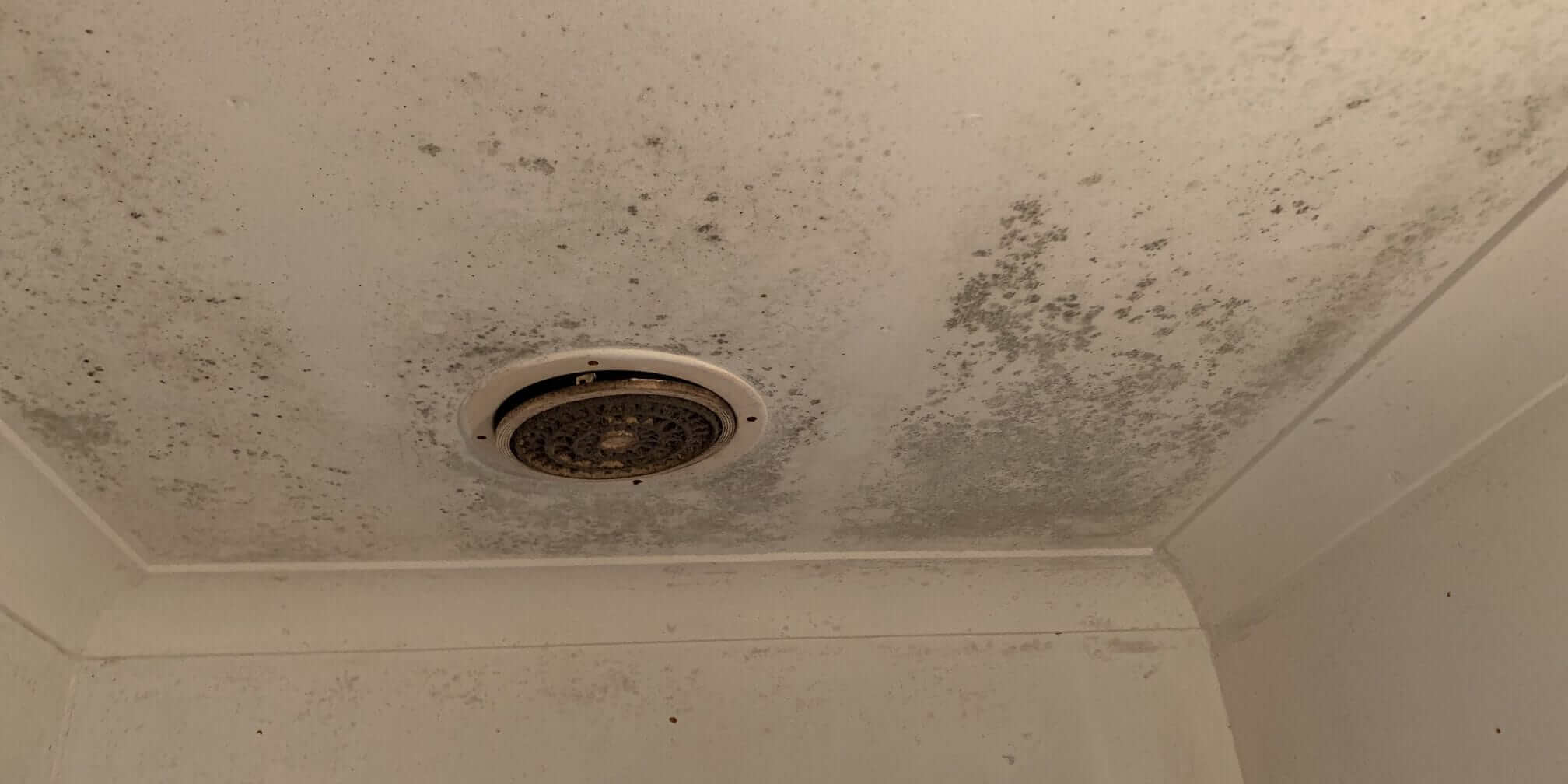 Mold In Bathroom Ceiling Dangerous Shelly Lighting