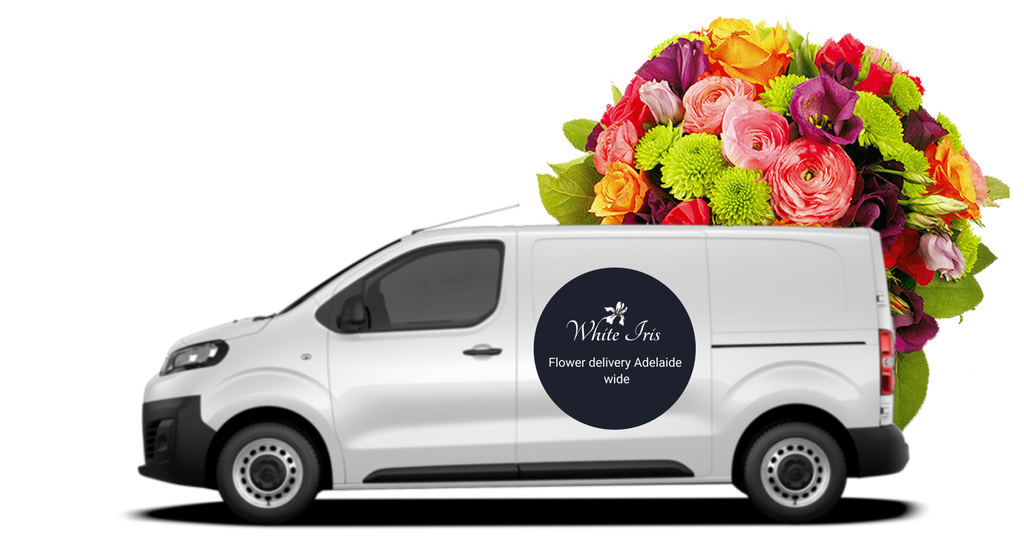 Sending Flowers In Adelaide Best Flower Site