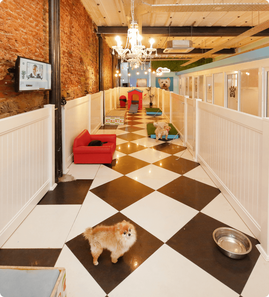 Discover Our Dog Care Facilities atFrits