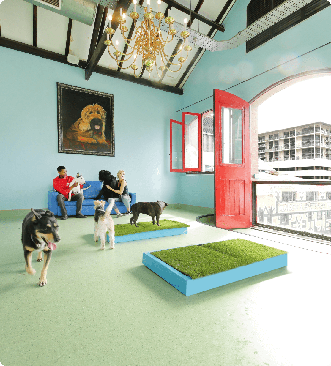 Discover Our Dog Care Facilities atFrits