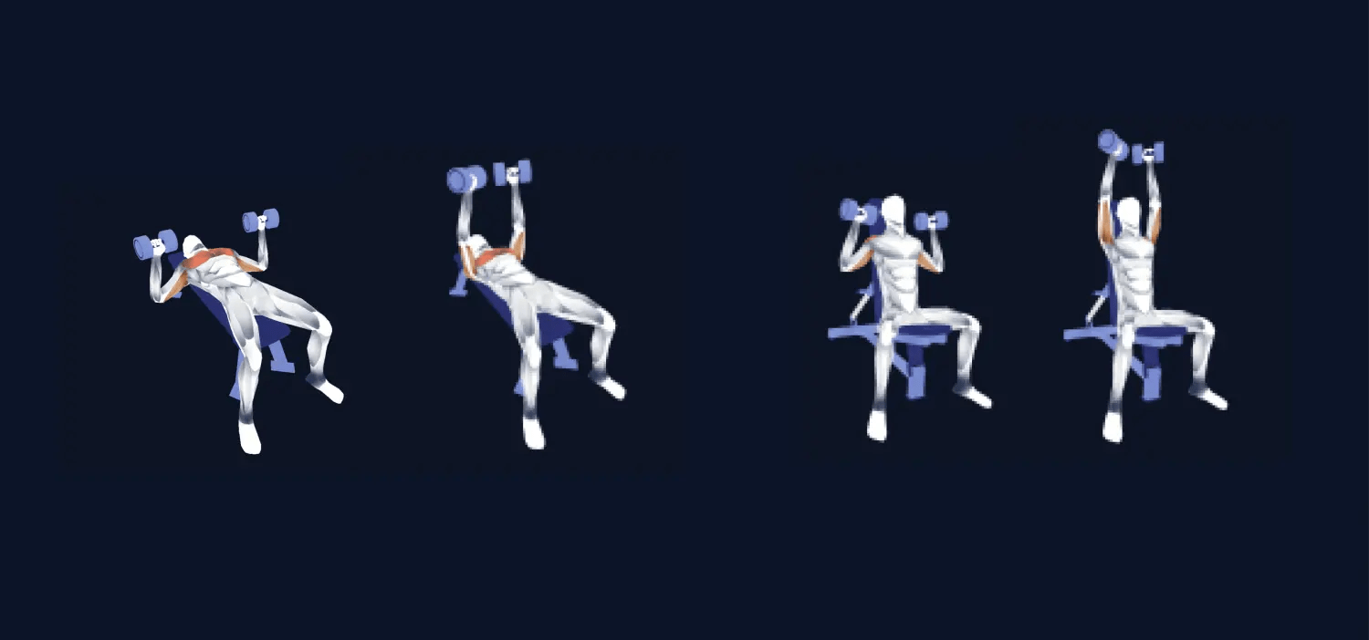 Zeno Fitness & Habits App