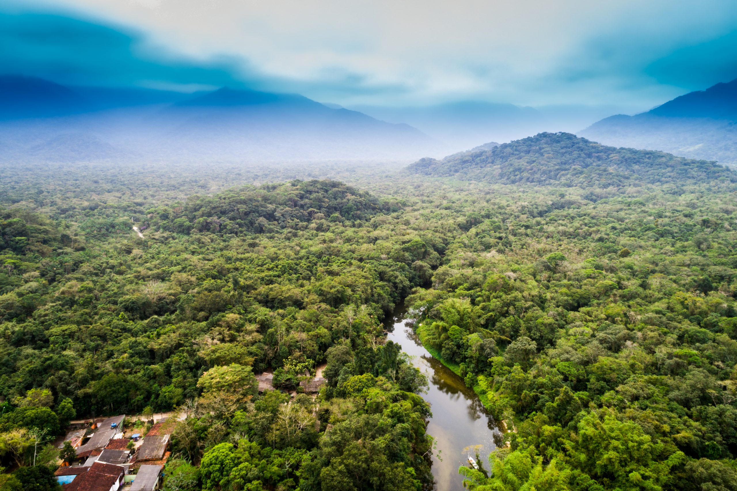 Aerial View of Amazon Rainforest, South America Concordia