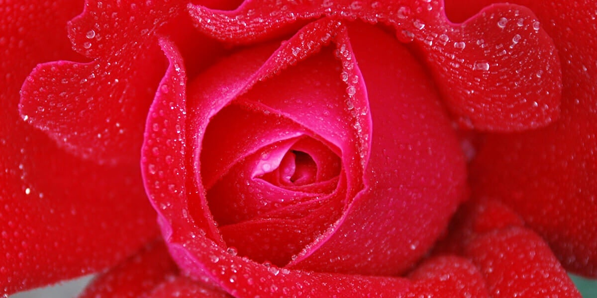 Here's the best lube you could buy if you dare to be pleased