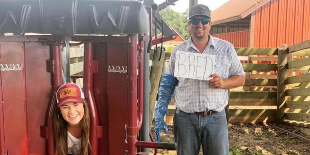 Woman Pretends to Be Livestock for Pregnancy Announcement