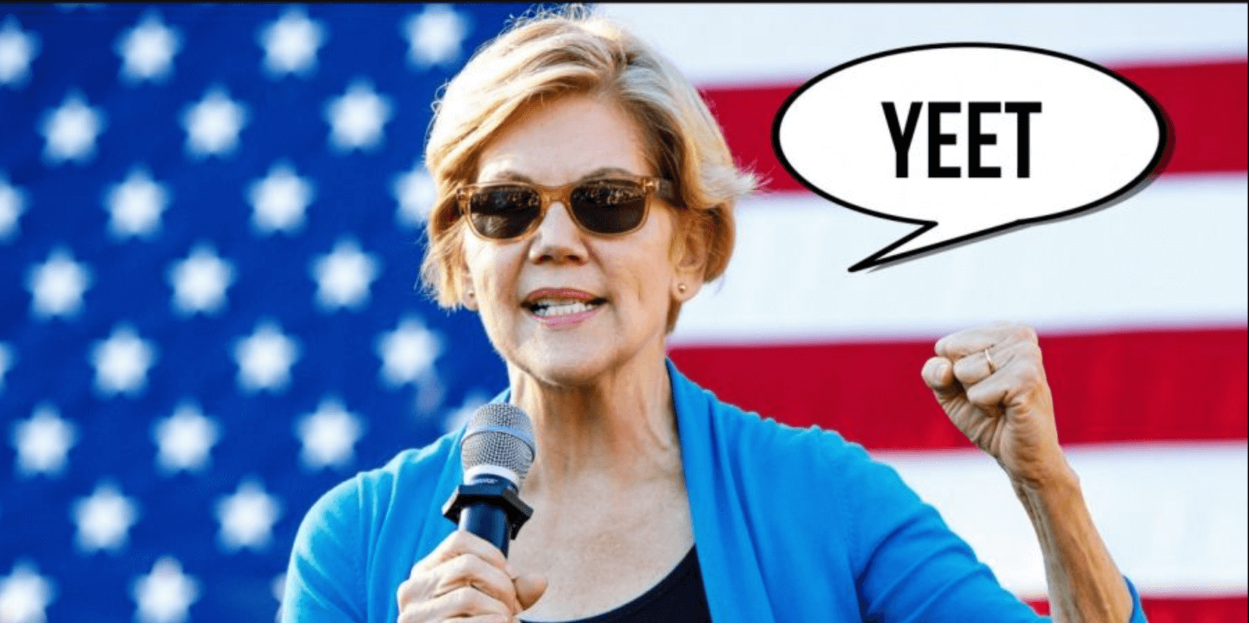 Elizabeth Warren's Meme Team Wants Order in 2020 Jokes