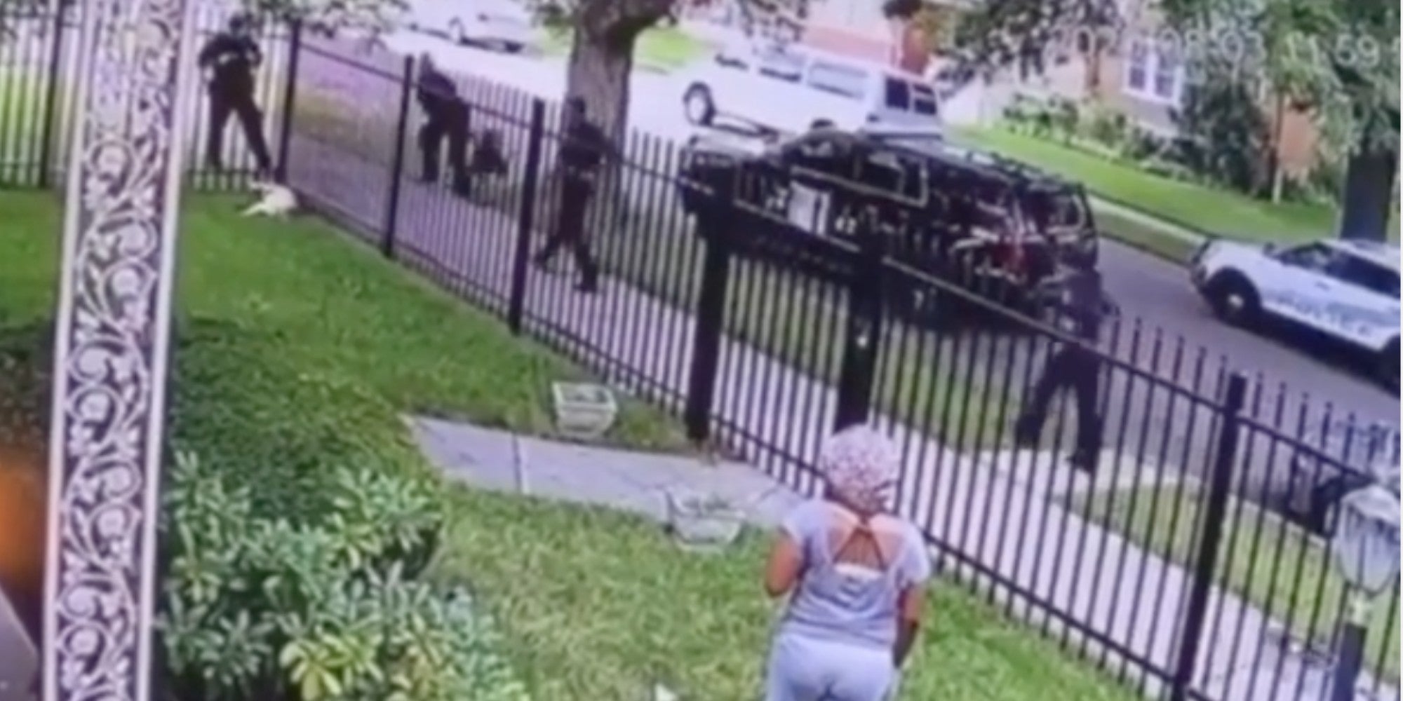 Video Shows Cop Shooting Dog in Its Own FencedIn Yard