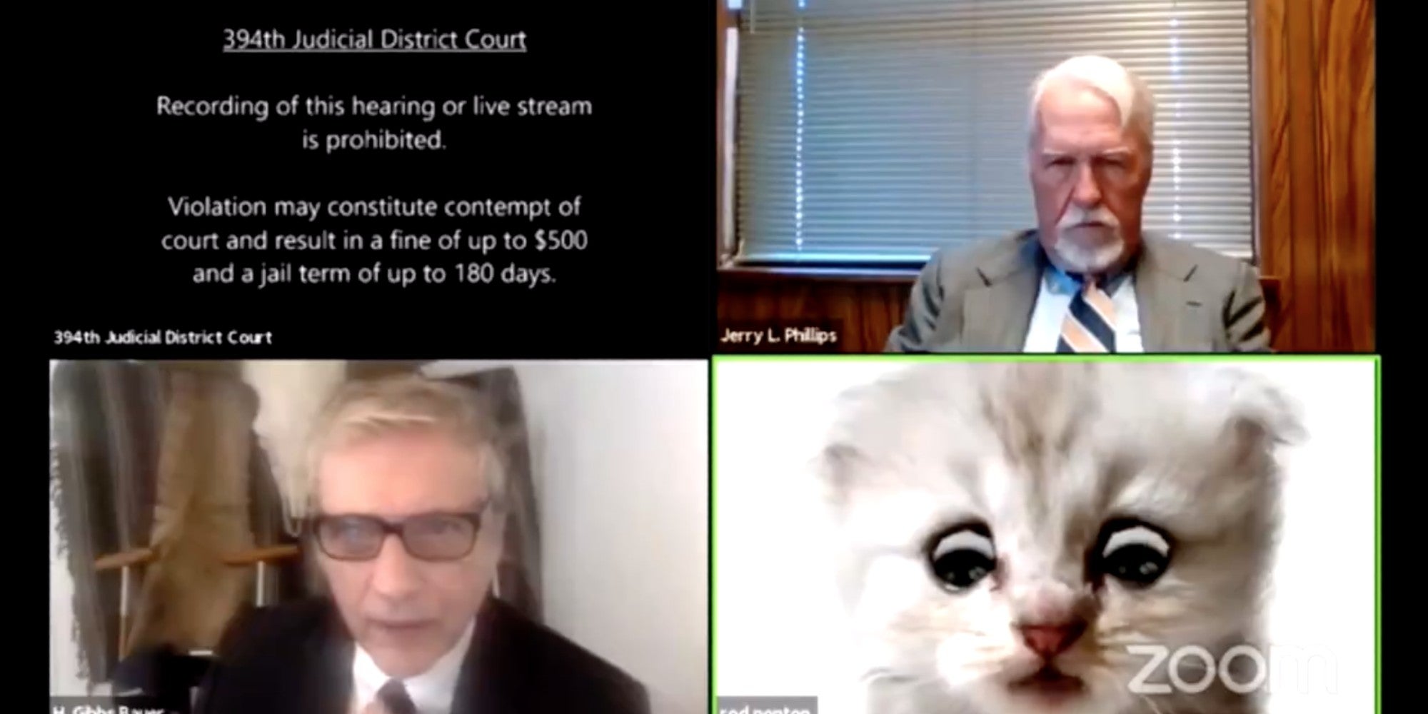 Lawyer Accidentally Activates Cat Filter During Zoom Call