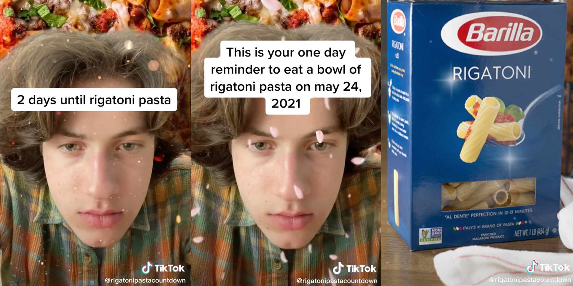 Rigatoni Day TikTokers Everywhere Celebrate New, Rando Holiday