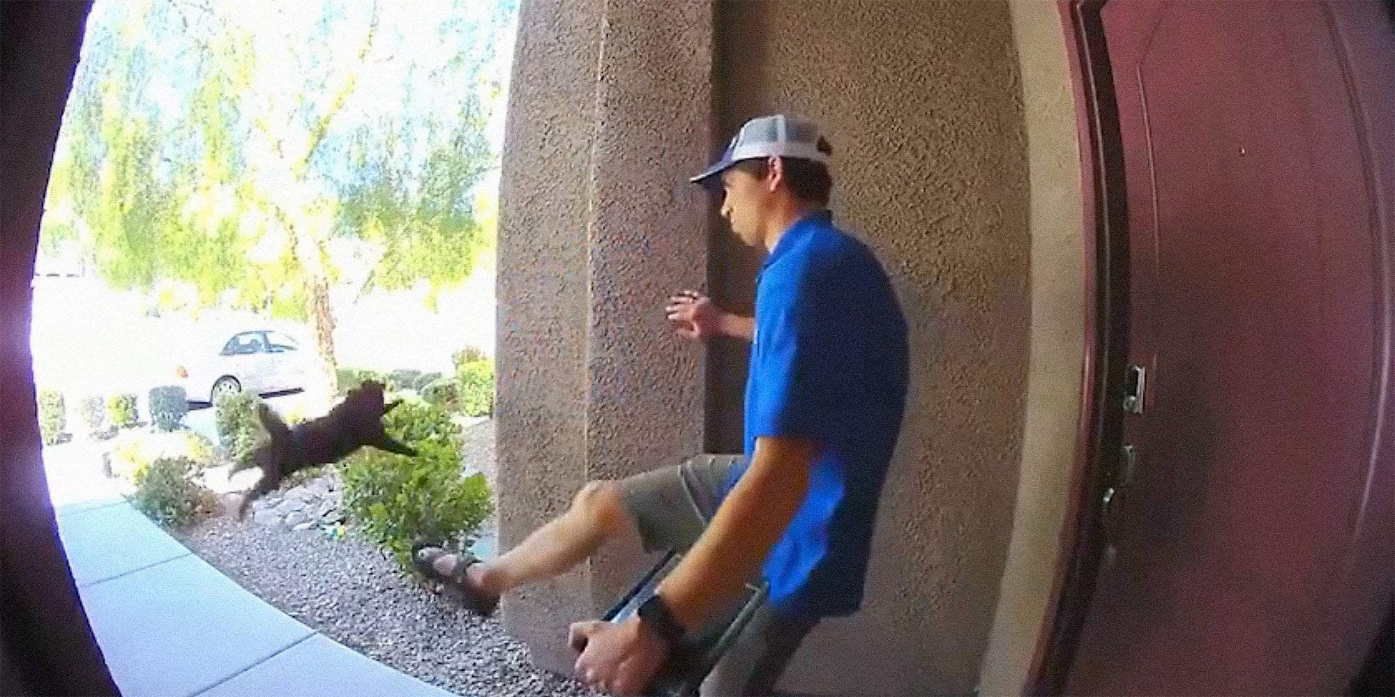 Video Ring Camera Catches Salesman Kicking Cat Off Porch