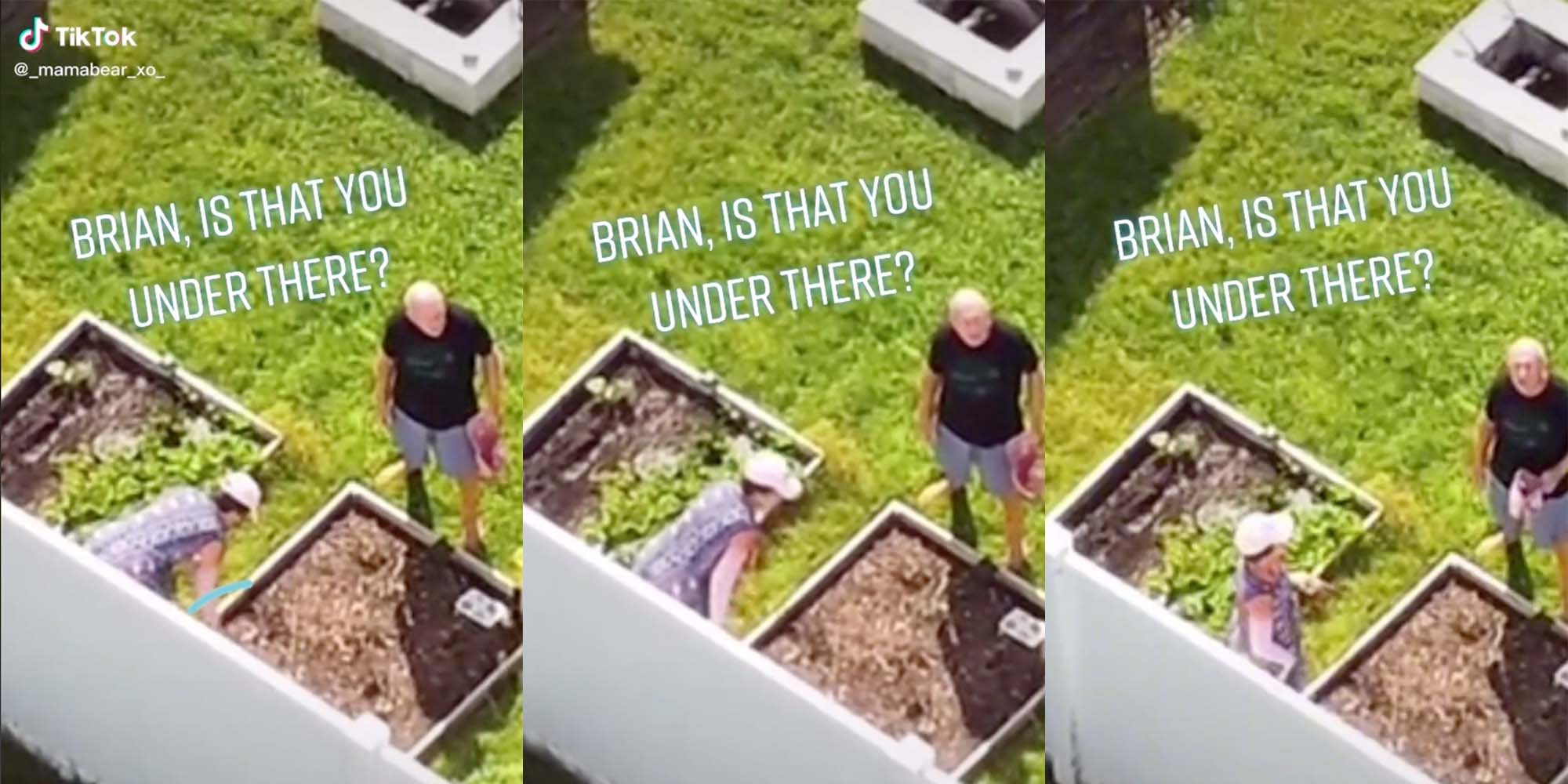 Drone Fotage of Brian Laundrie’s Parents Fuels Conspiracy Theories