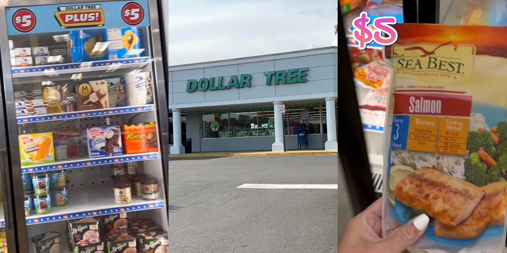 Dollar Tree Grocery Shopper Shows off Store’s 'Plus' Section