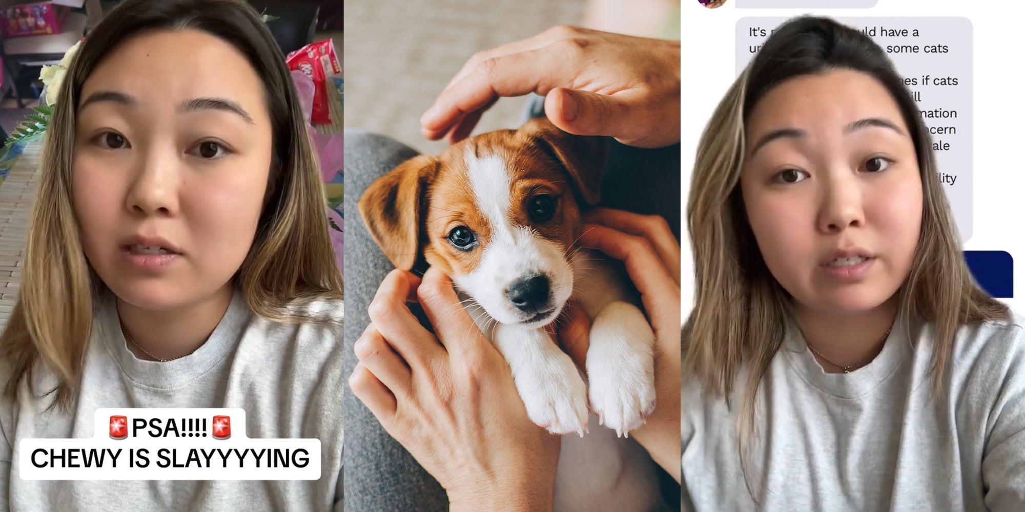 Chewy Customer Shares Hack For Free Virtual Vet Visits