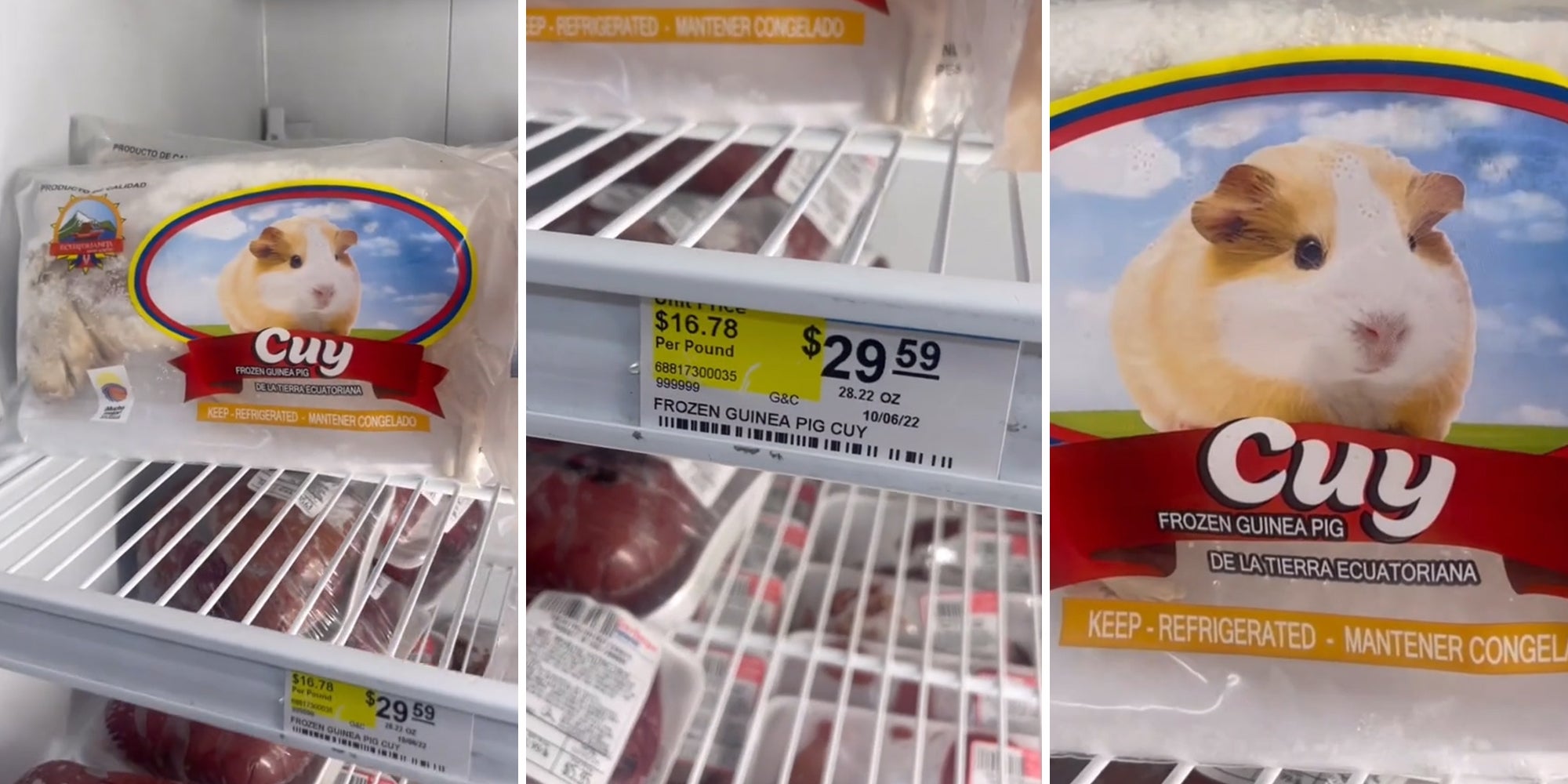 Grocery Shopper Finds Frozen Guinea Pigs for Sale in Frozen Aisle