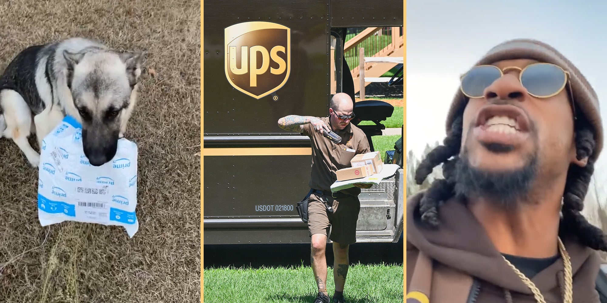 Delivery Driver Has To Chase Dog Who Stole Prime Package