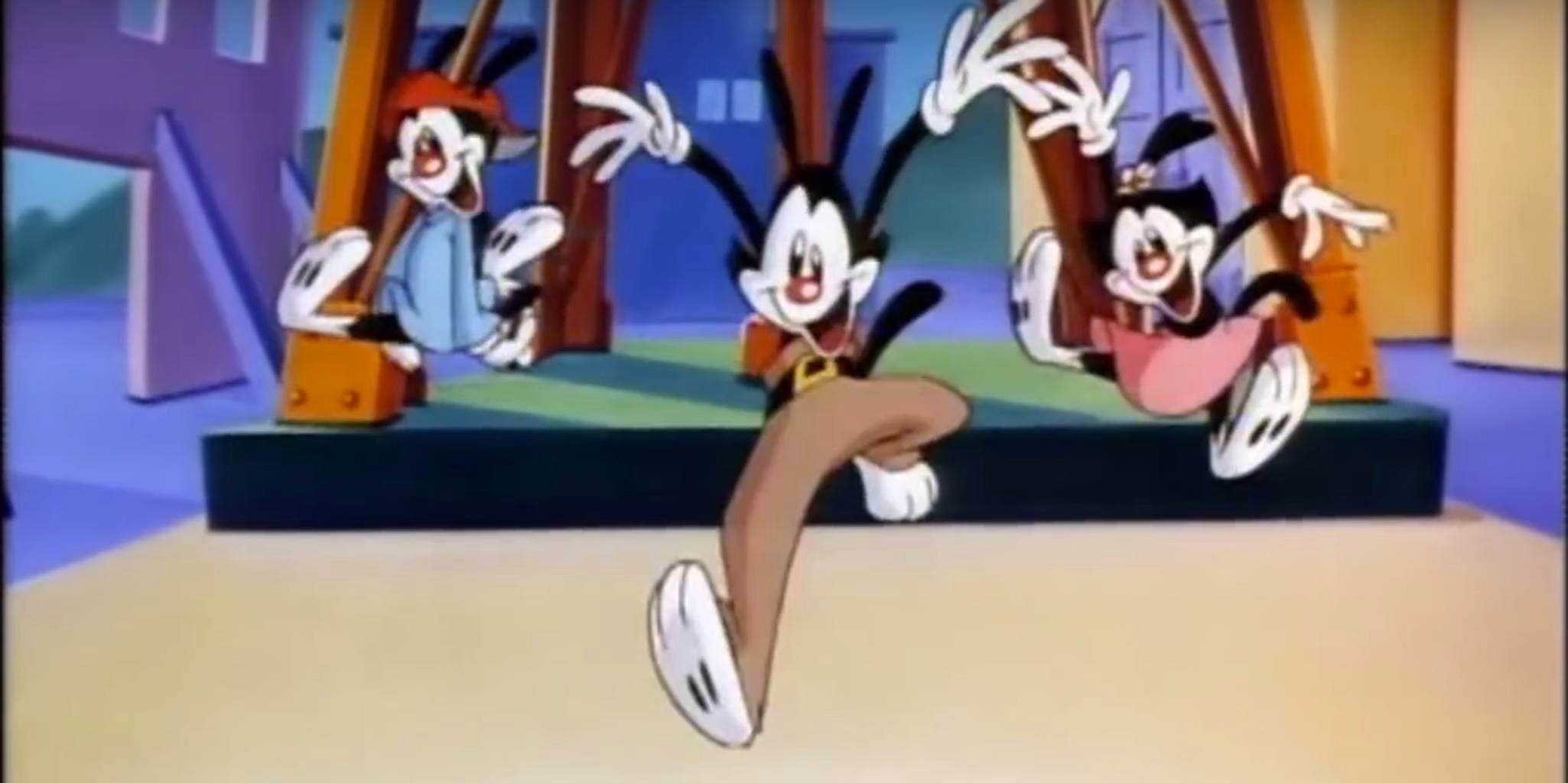 animaniacs The Daily Dot