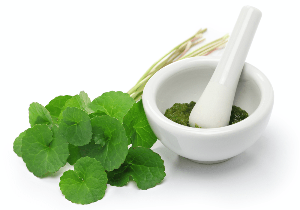 What is cica, and why is it found in so many skincare products?